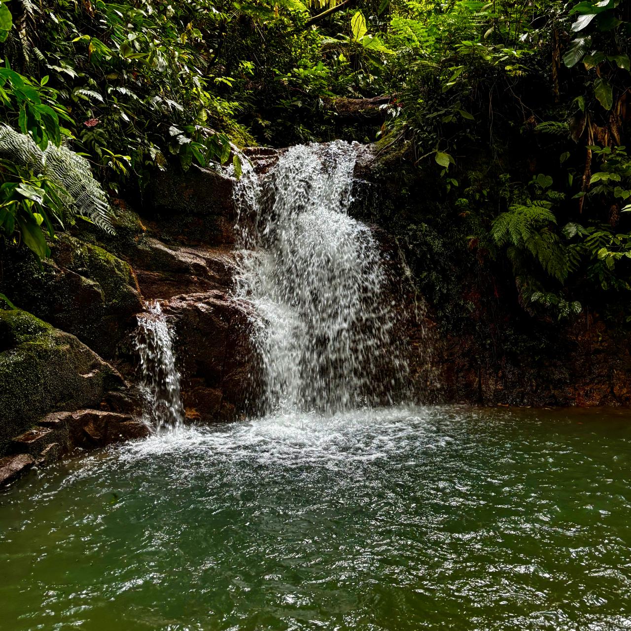 Imagem da cachoeira da serrinha na vila da glória, região de são francisco do sul.